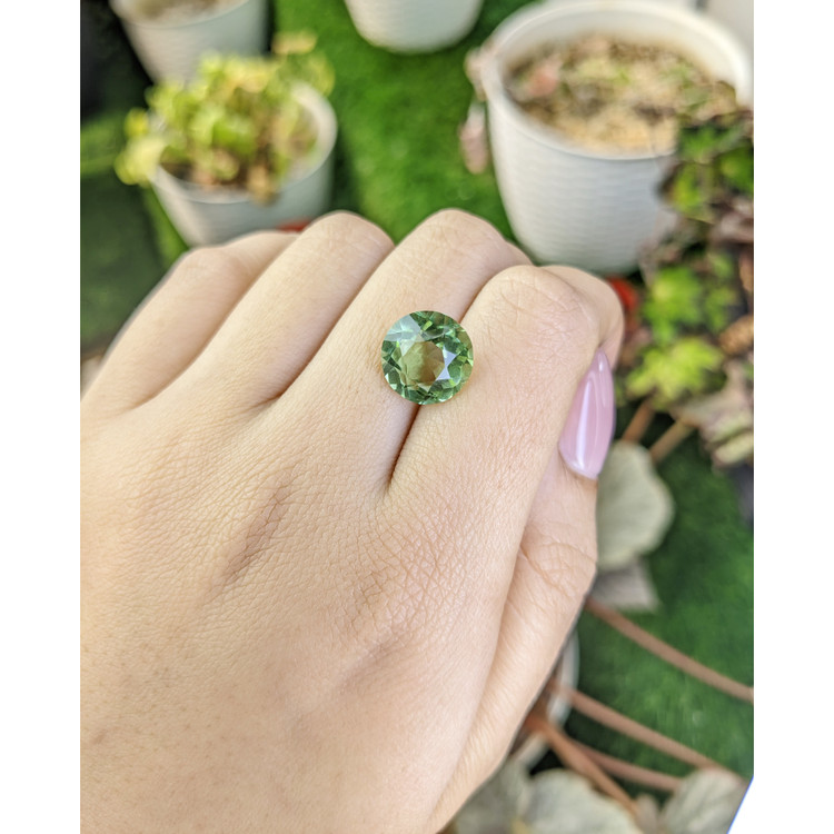 5.96 Ct. Green Prasiolite from Brazil