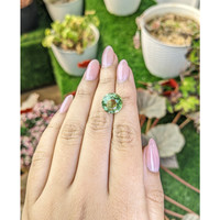 5.96 Ct. Green Prasiolite from Brazil Life Style