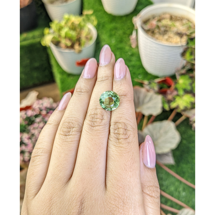 5.96 Ct. Green Prasiolite from Brazil