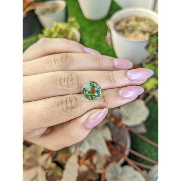 5.96 Ct. Green Prasiolite from Brazil