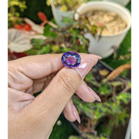 8.73 Ct. Purple Amethyst from Ceylon (Sri Lanka) Life Style