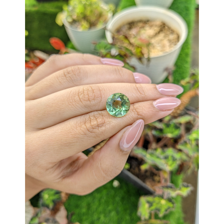 6.47 Ct. Green Prasiolite from Brazil