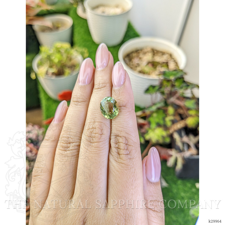 4.90 Ct. Yellowish Green Prasiolite from Brazil