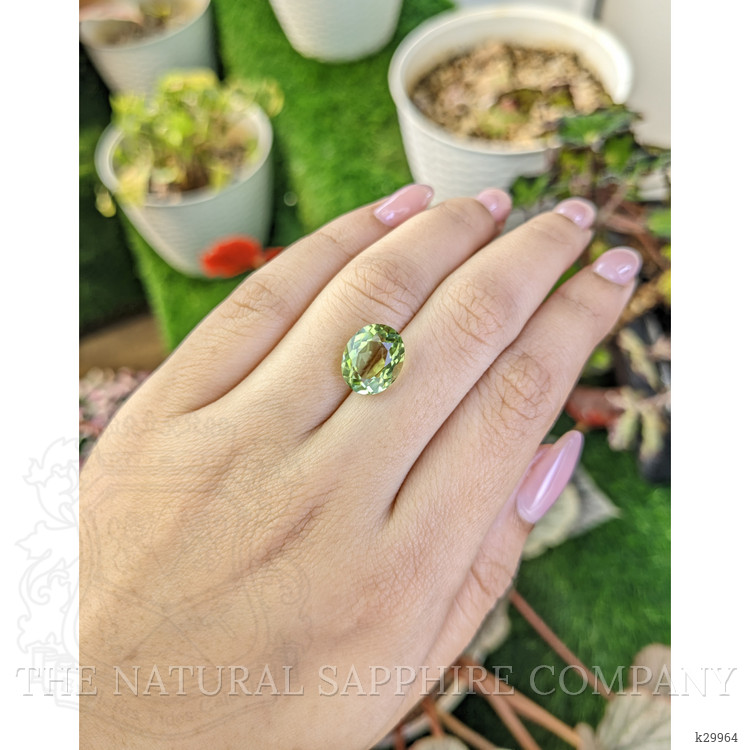 4.90 Ct. Yellowish Green Prasiolite from Brazil