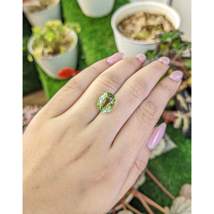 4.90 Ct. Yellowish Green Prasiolite from Brazil