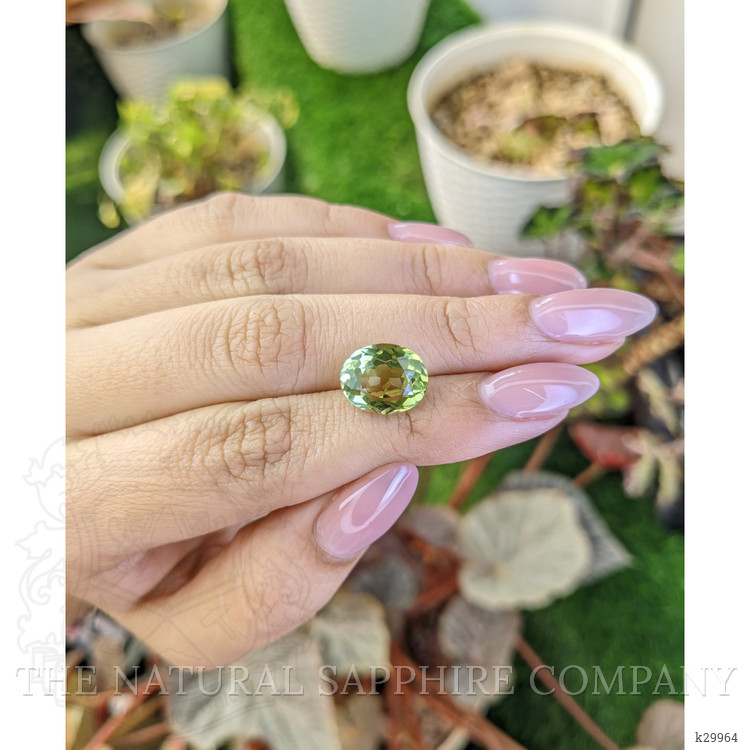 4.90 Ct. Yellowish Green Prasiolite from Brazil