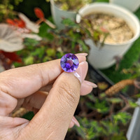 5.46 Ct. Purple Amethyst from Ceylon (Sri Lanka) Life Style