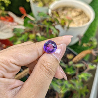 5.49 Ct. Purple Amethyst from Ceylon (Sri Lanka) Life Style