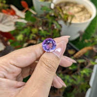 7.81 Ct. Purple Amethyst from Ceylon (Sri Lanka) Life Style