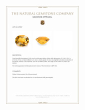 4.94 Ct. Yellow Citrine from Ceylon (Sri Lanka) Appraisal