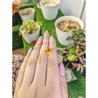 4.99 Ct. Yellow Citrine from Ceylon (Sri Lanka) Life Style