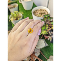 5.93 Ct. Yellow Citrine from Ceylon (Sri Lanka) Life Style