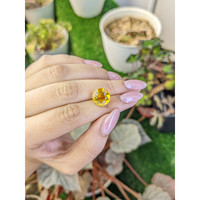 5.53 Ct. Yellow Citrine from Ceylon (Sri Lanka) Life Style