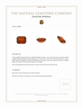 Jewelry Appraisal