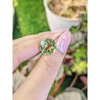 6.21 Ct. Yellowish Green Prasiolite from Brazil Life Style