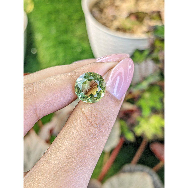 6.21 Ct. Yellowish Green Prasiolite from Brazil