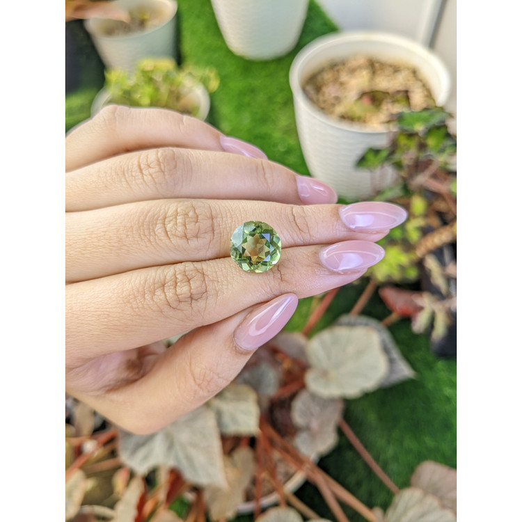 6.21 Ct. Yellowish Green Prasiolite from Brazil