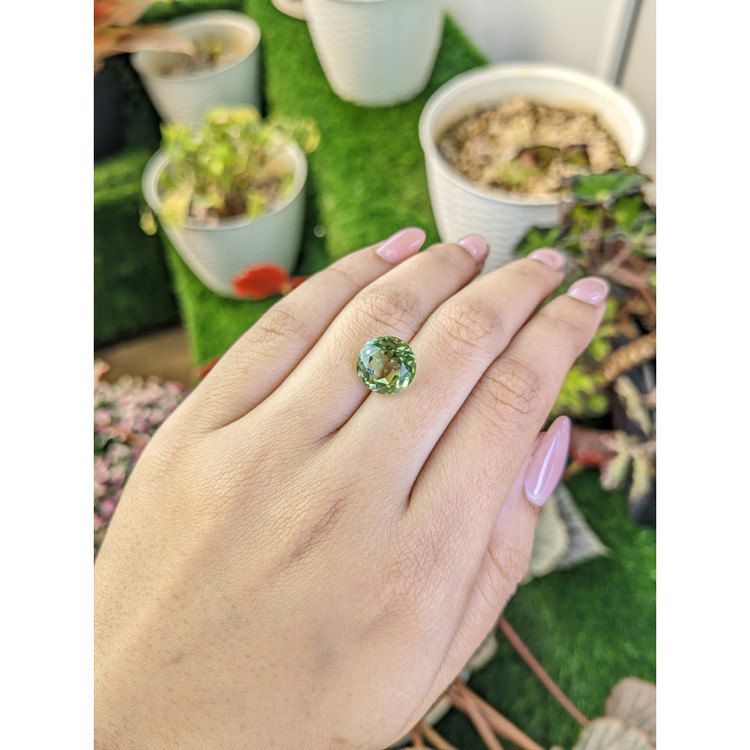 5.64 Ct. Yellowish Green Prasiolite from Brazil