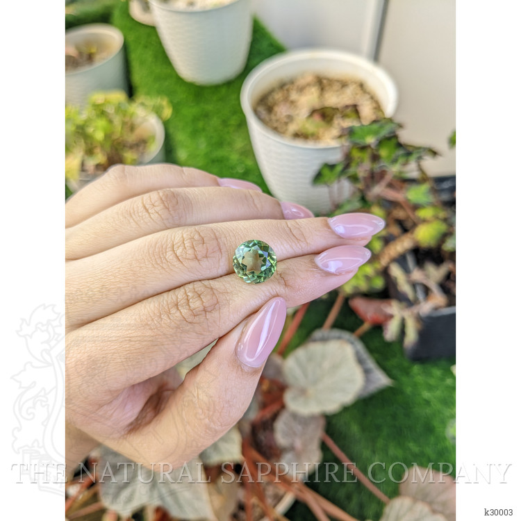 5.64 Ct. Yellowish Green Prasiolite from Brazil