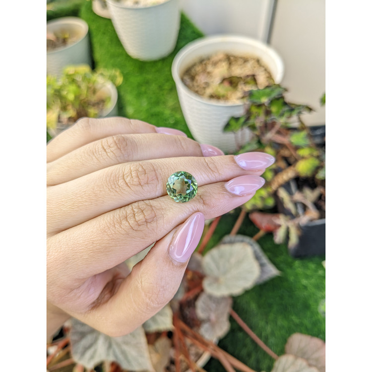 5.64 Ct. Yellowish Green Prasiolite from Brazil