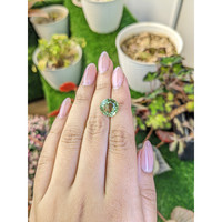 5.64 Ct. Yellowish Green Prasiolite from Brazil Life Style
