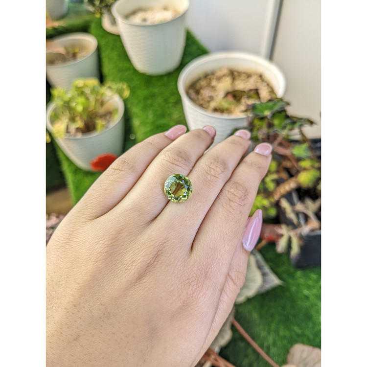 5.42 Ct. Yellowish Green Prasiolite from Brazil