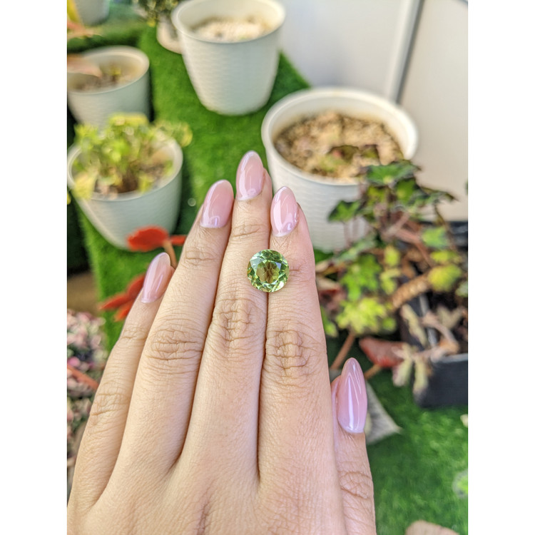 5.42 Ct. Yellowish Green Prasiolite from Brazil