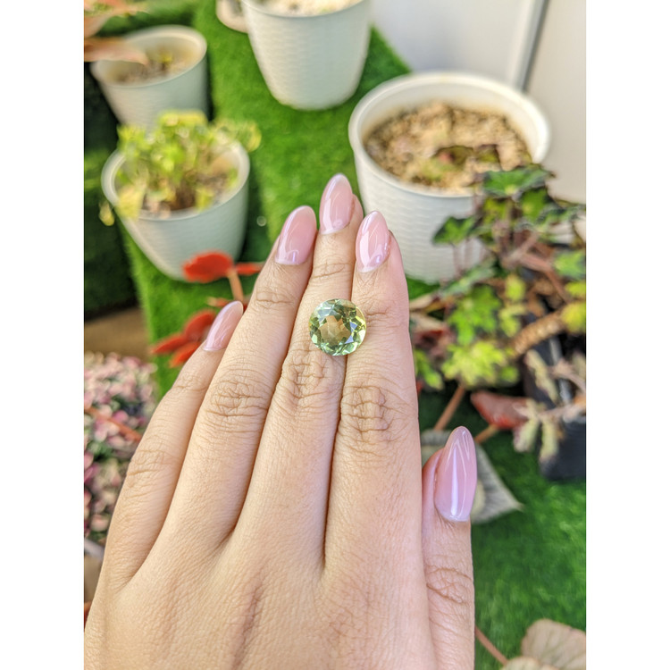 6.71 Ct. Yellowish Green Prasiolite from Brazil