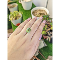 5.81 Ct. Yellowish Green Prasiolite from Brazil Life Style