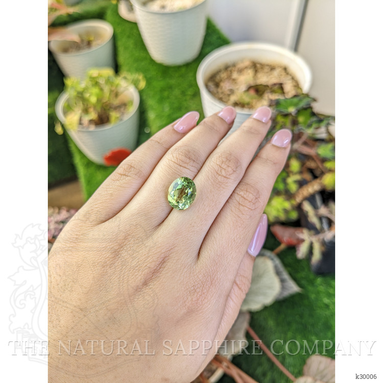 5.81 Ct. Yellowish Green Prasiolite from Brazil