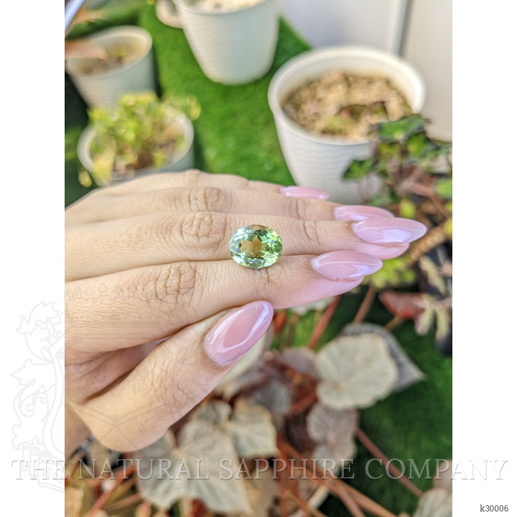 5.81 Ct. Yellowish Green Prasiolite from Brazil