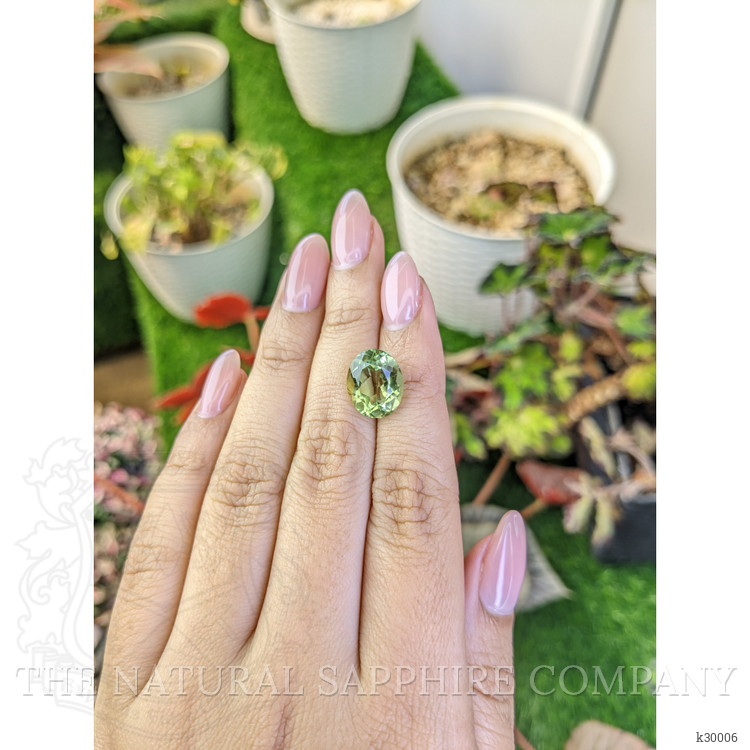 5.81 Ct. Yellowish Green Prasiolite from Brazil
