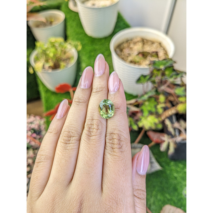 5.81 Ct. Yellowish Green Prasiolite from Brazil