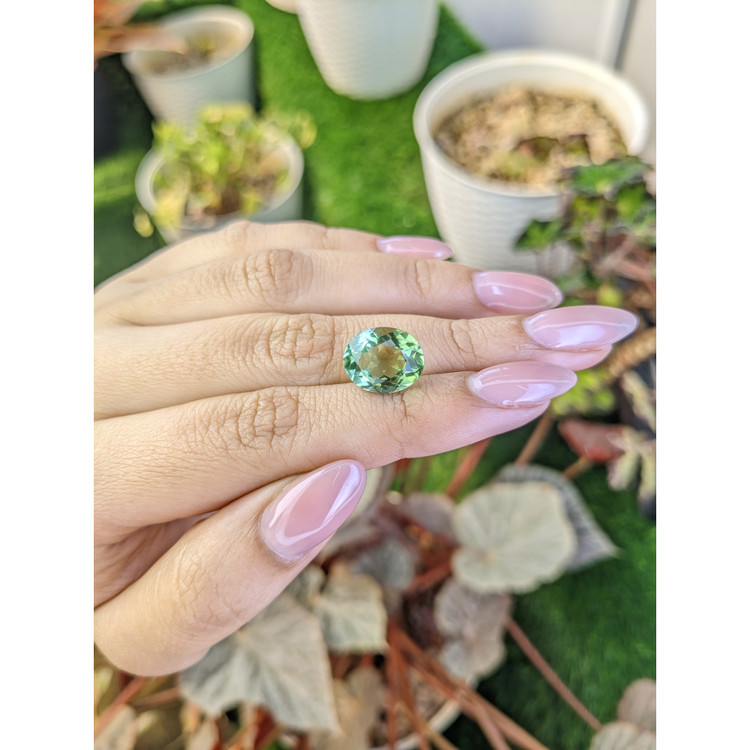 6.00 Ct. Green Prasiolite from Brazil