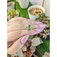 6.01 Ct. Green Prasiolite from Brazil Life Style