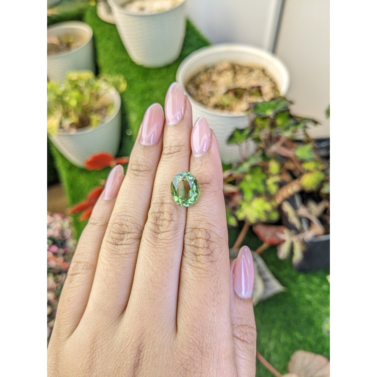 6.01 Ct. Green Prasiolite from Brazil