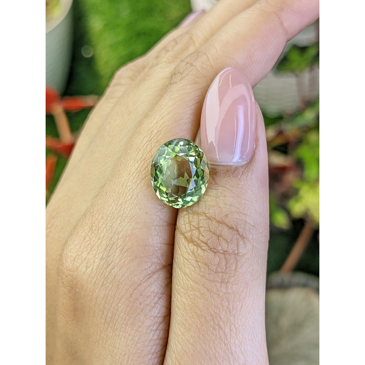 6.09 Ct. Yellowish Green Prasiolite from Brazil