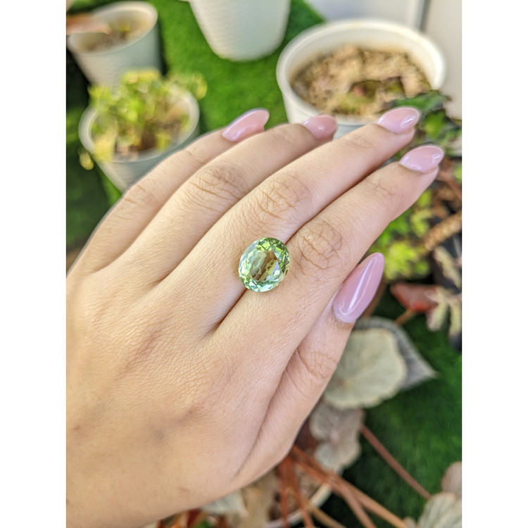 6.09 Ct. Yellowish Green Prasiolite from Brazil