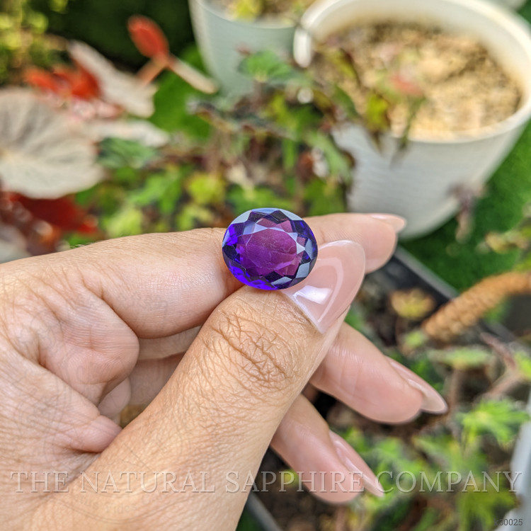11.60 Ct. Purple Amethyst from Ceylon (Sri Lanka)