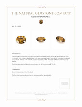 7.92 Ct. Zircon from Ceylon (Sri Lanka) Appraisal