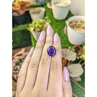 10.04 Ct. Purple Amethyst from Brazil Life Style