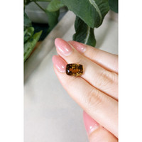 9.01 Ct. Zircon from Ceylon (Sri Lanka) Life Style