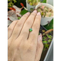 1.44 Ct. Green Zircon from Ceylon (Sri Lanka) Life Style