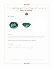 5.77 Ct. Bluish Green Prasiolite from Brazil Appraisal