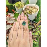 6.39 Ct. Bluish Green Prasiolite from Brazil Life Style