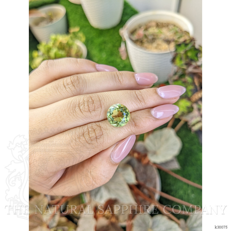 6.57 Ct. Yellowish Green Prasiolite from Brazil