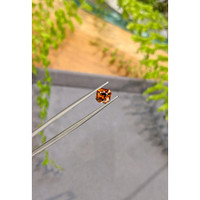 1.75 Ct. Orange Spessartite Garnet from Madagascar Life Style
