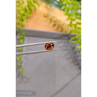2.56 Ct. Orange Spessartite Garnet from Ceylon (Sri Lanka) Life Style