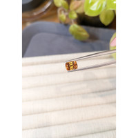 1.78 Ct. Orange Spessartite Garnet from Tanzania Life Style