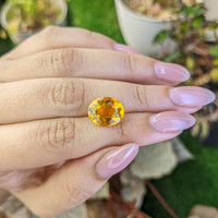 5.25 Ct. Yellow Citrine from Ceylon (Sri Lanka) Life Style